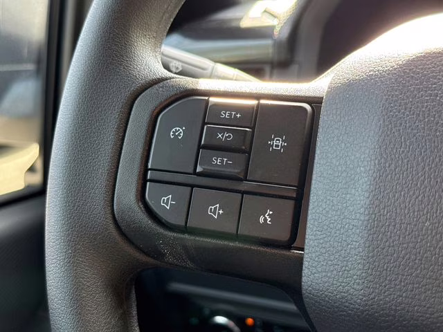 2026 Gray Ford F-150 STX RWD Truck