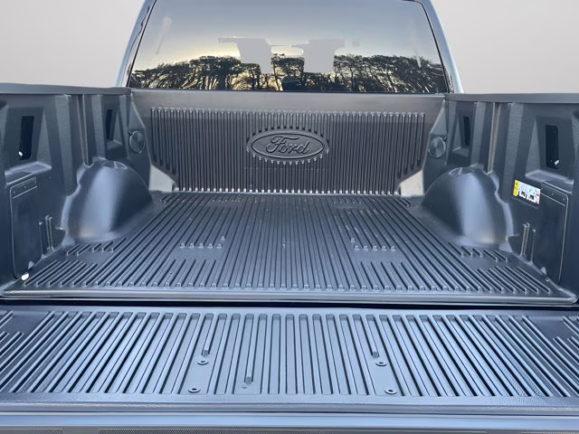 2026 Agate Black Metallic Ford F-150 STX 4X4 Truck