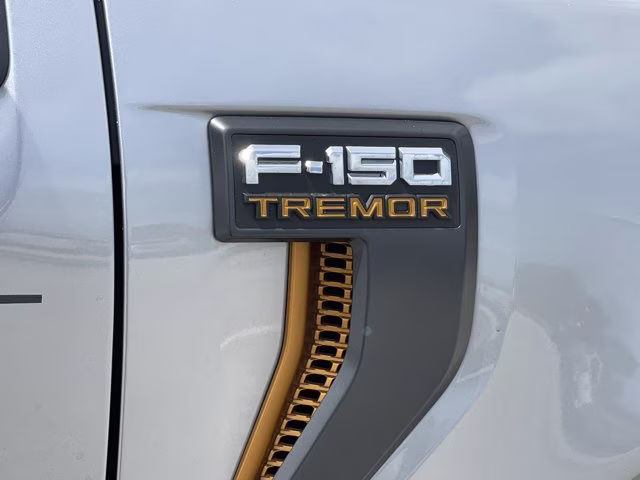 2026 Iconic Silver Metallic Ford F-150 Tremor 4X4 Truck