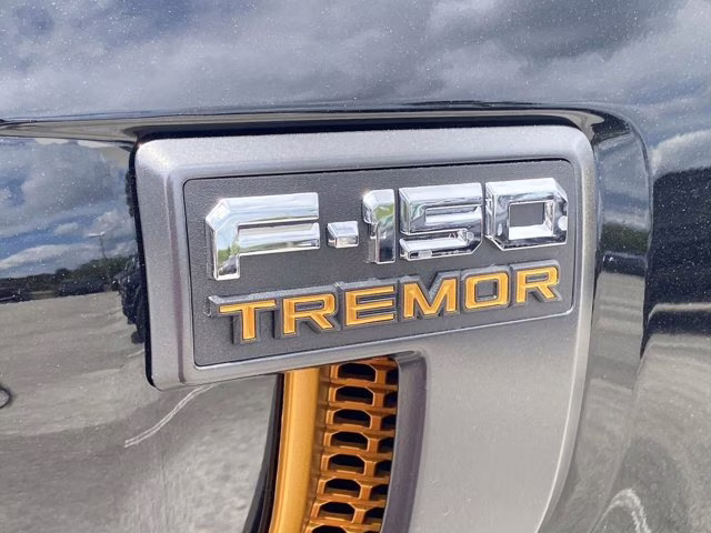 2026 Agate Black Metallic Ford F-150 Tremor 4X4 Truck