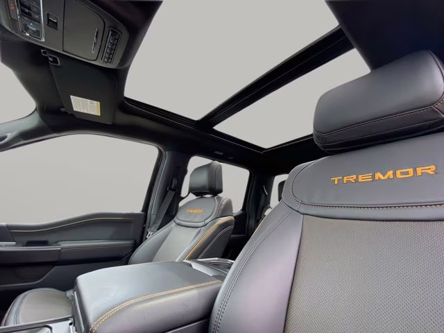 2026 Agate Black Metallic Ford F-150 Tremor 4X4 Truck