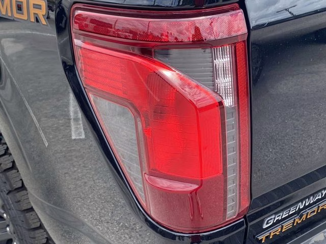 2026 Agate Black Metallic Ford F-150 Tremor 4X4 Truck