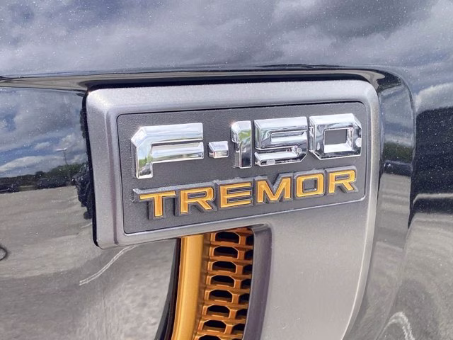 2026 Agate Black Metallic Ford F-150 Tremor 4X4 Truck