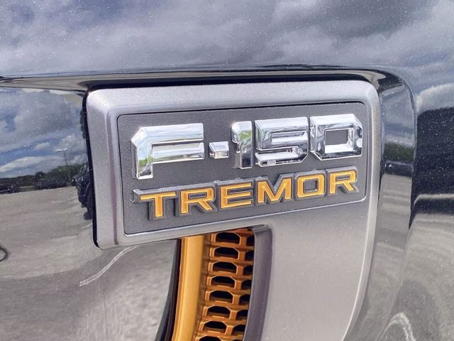 2026 Agate Black Metallic Ford F-150 Tremor 4X4 Truck