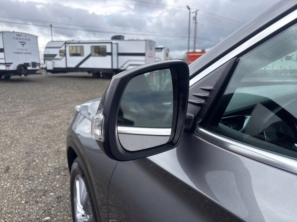 2020 Graphite Shadow INFINITI QX50 LUXE AWD SUV