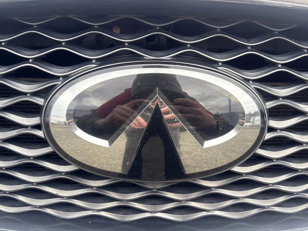 2020 Graphite Shadow INFINITI QX50 LUXE AWD SUV