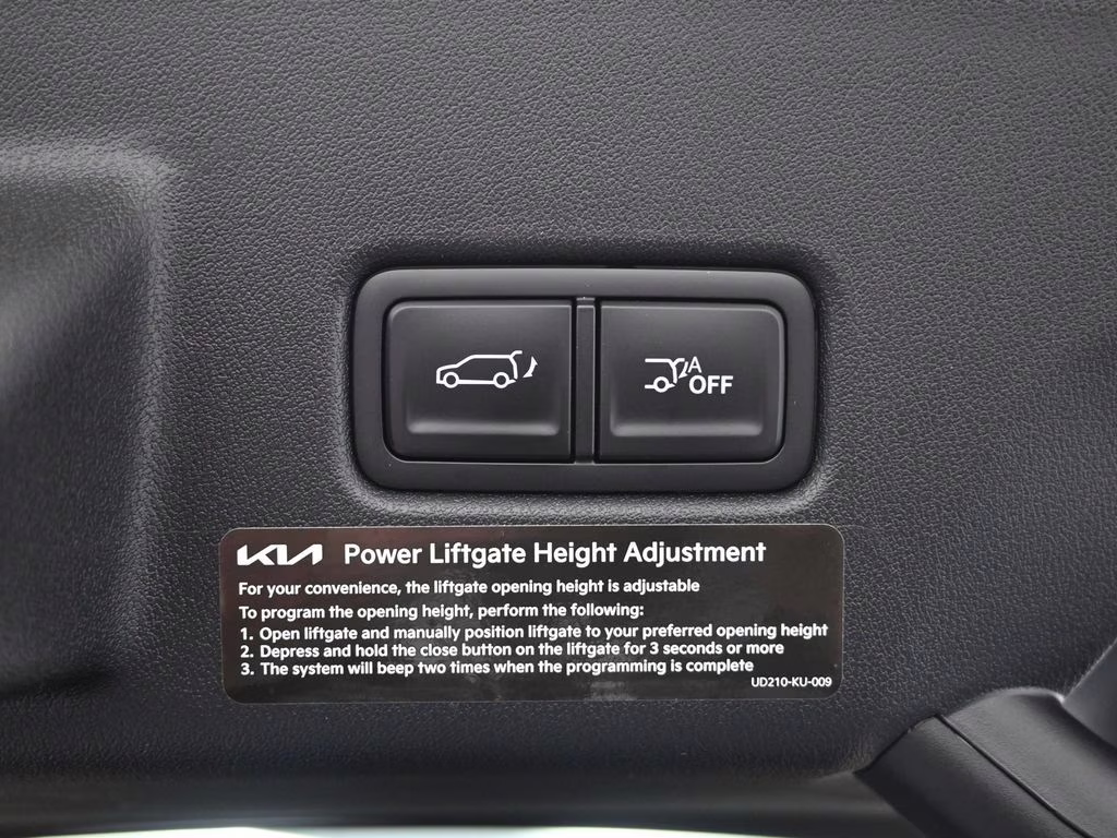 2027 Terrain Brown Kia Telluride X-Line EX AWD SUV