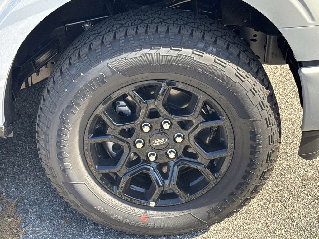 2026 Black Ford F-150 XLT 4X4 Truck