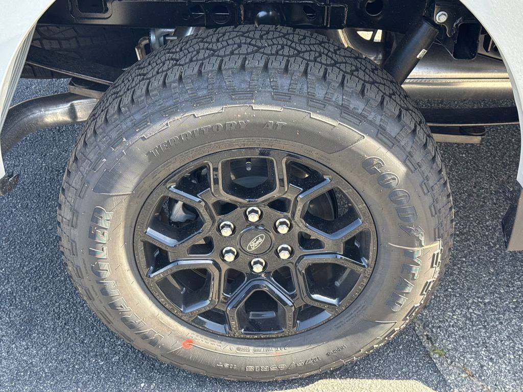 2026 Black Ford F-150 XLT 4X4 Truck