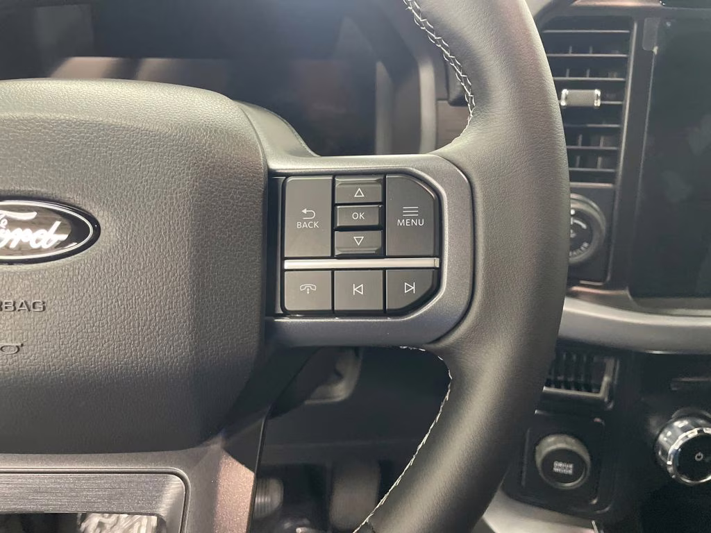 2025 AGATE BLACK Ford F-150 XLT RWD Truck