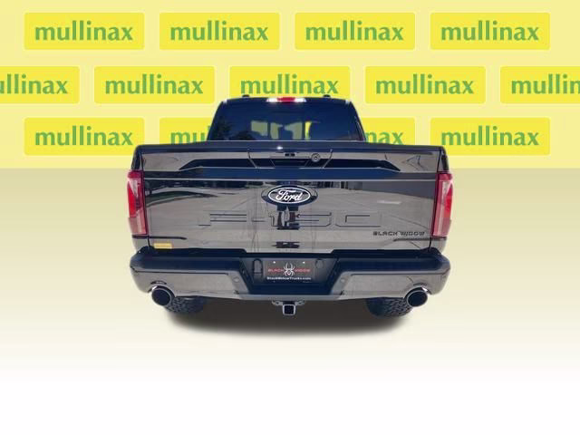 2024 Agate Black Metallic Ford F-150 XLT BLACKWIDOW 4X4 Truck
