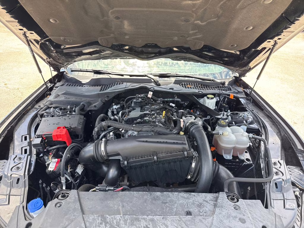 2024 Shadow Black Ford Mustang EcoBoost Premium RWD Convertible