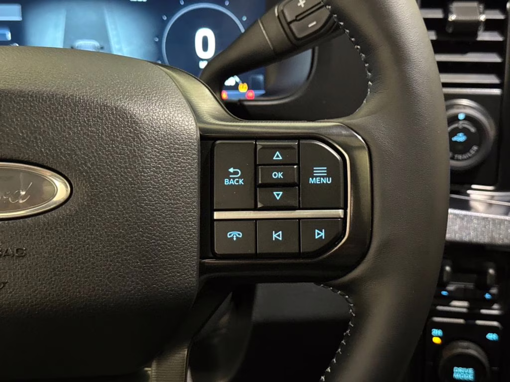 2026 Avalanche Ford Super Duty F-250 SRW Platinum 4X4 Truck