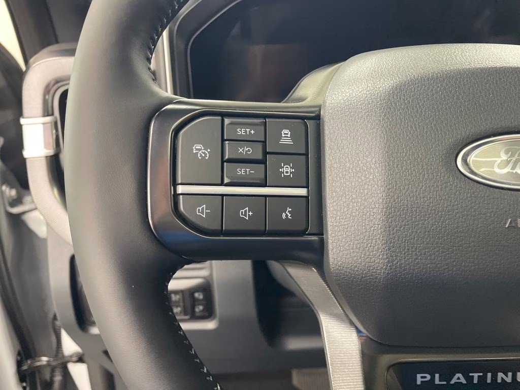 2026 AVALANCHE Ford Super Duty F-250 SRW Platinum 4X4 Truck