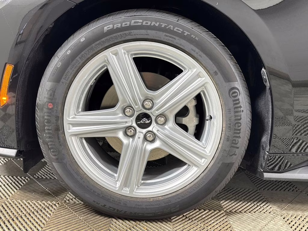 2026 Shadow Black Ford Mustang EcoBoost RWD Coupe