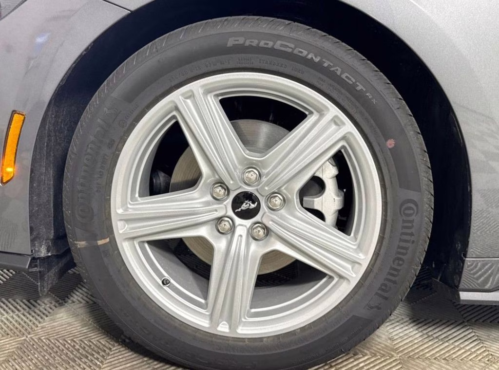 2026 Carbonized Gray Metallic Ford Mustang EcoBoost RWD Coupe