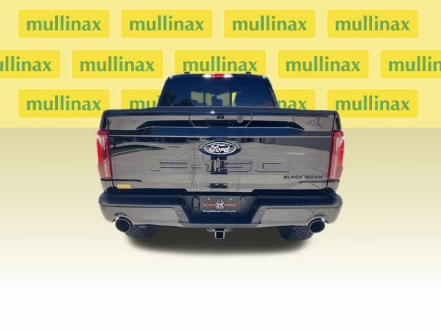 2024 Agate Black Metallic Ford F-150 XLT BLACKWIDOW 4X4 Truck