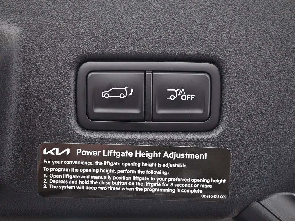 2027 Terrain Brown Kia Telluride X-Line EX AWD SUV