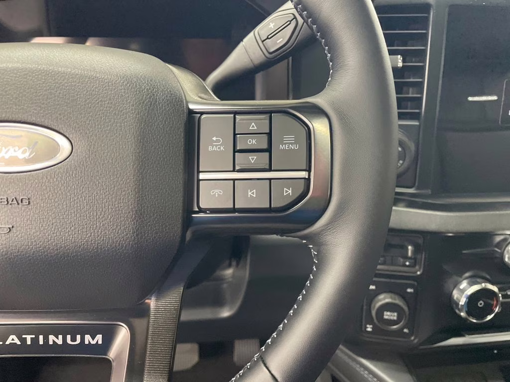 2026 AVALANCHE Ford Super Duty F-250 SRW Platinum 4X4 Truck