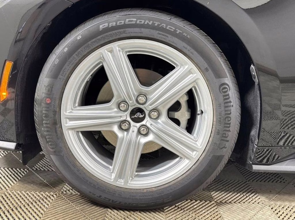 2026 Shadow Black Ford Mustang EcoBoost RWD Coupe