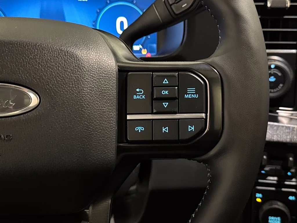 2026 Agate Black Metallic Ford Super Duty F-250 SRW Platinum 4X4 Truck