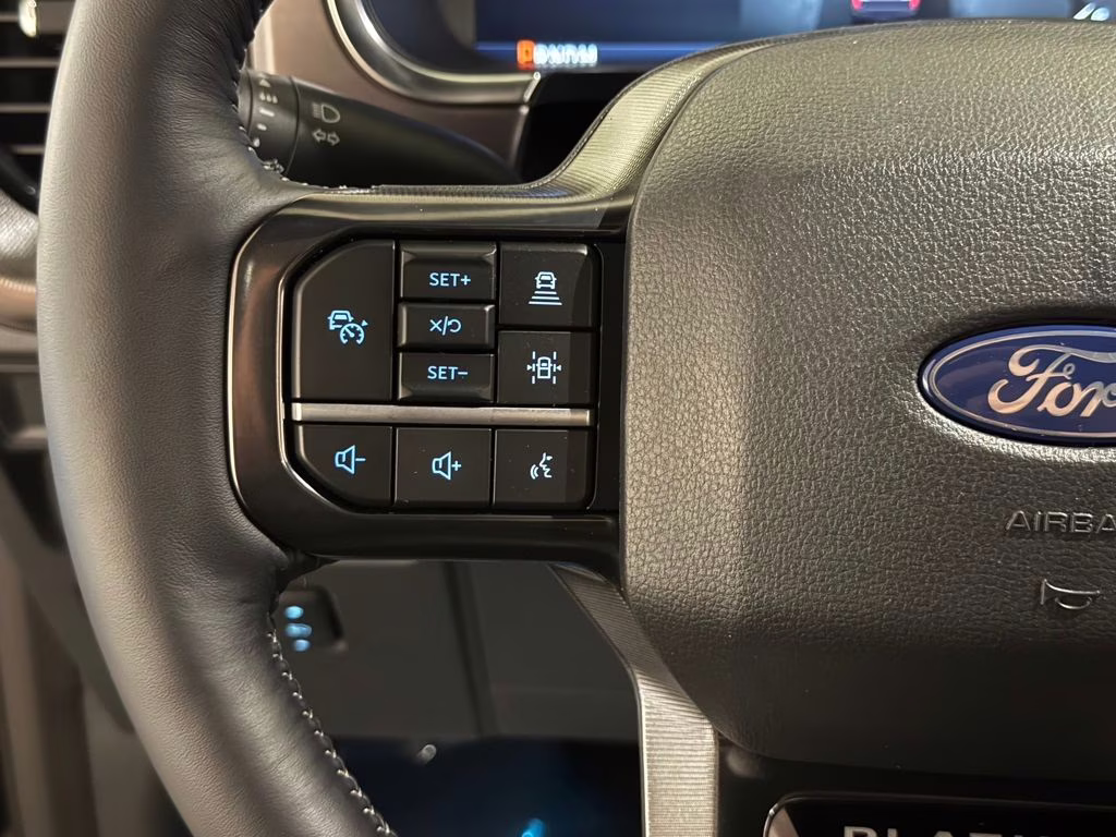 2026 Agate Black Metallic Ford F-150 Platinum 4X4 Truck