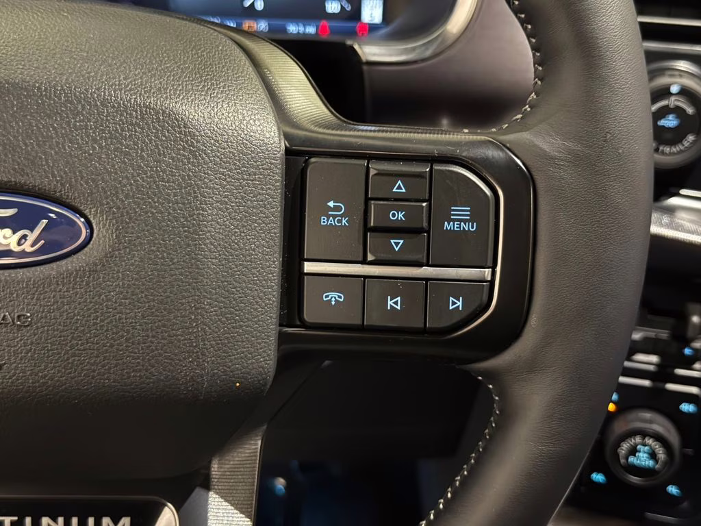 2026 Agate Black Metallic Ford F-150 Platinum 4X4 Truck