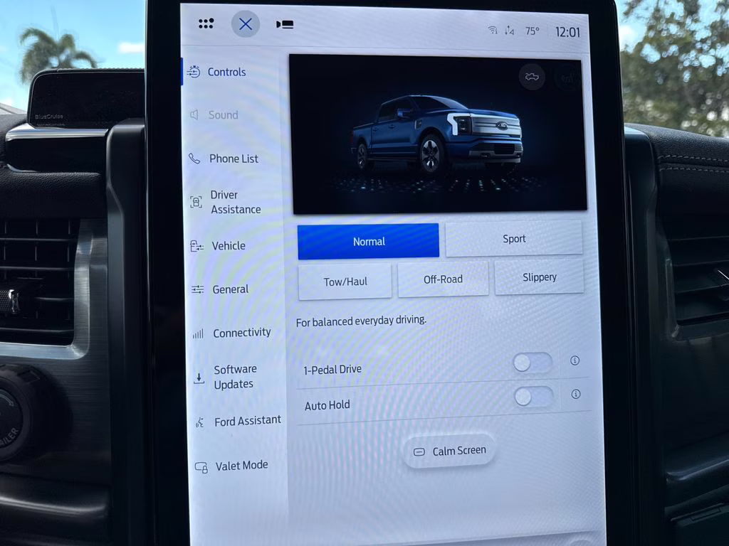 2025 Agate Black Metallic Ford F-150 Lightning Flash AWD Truck