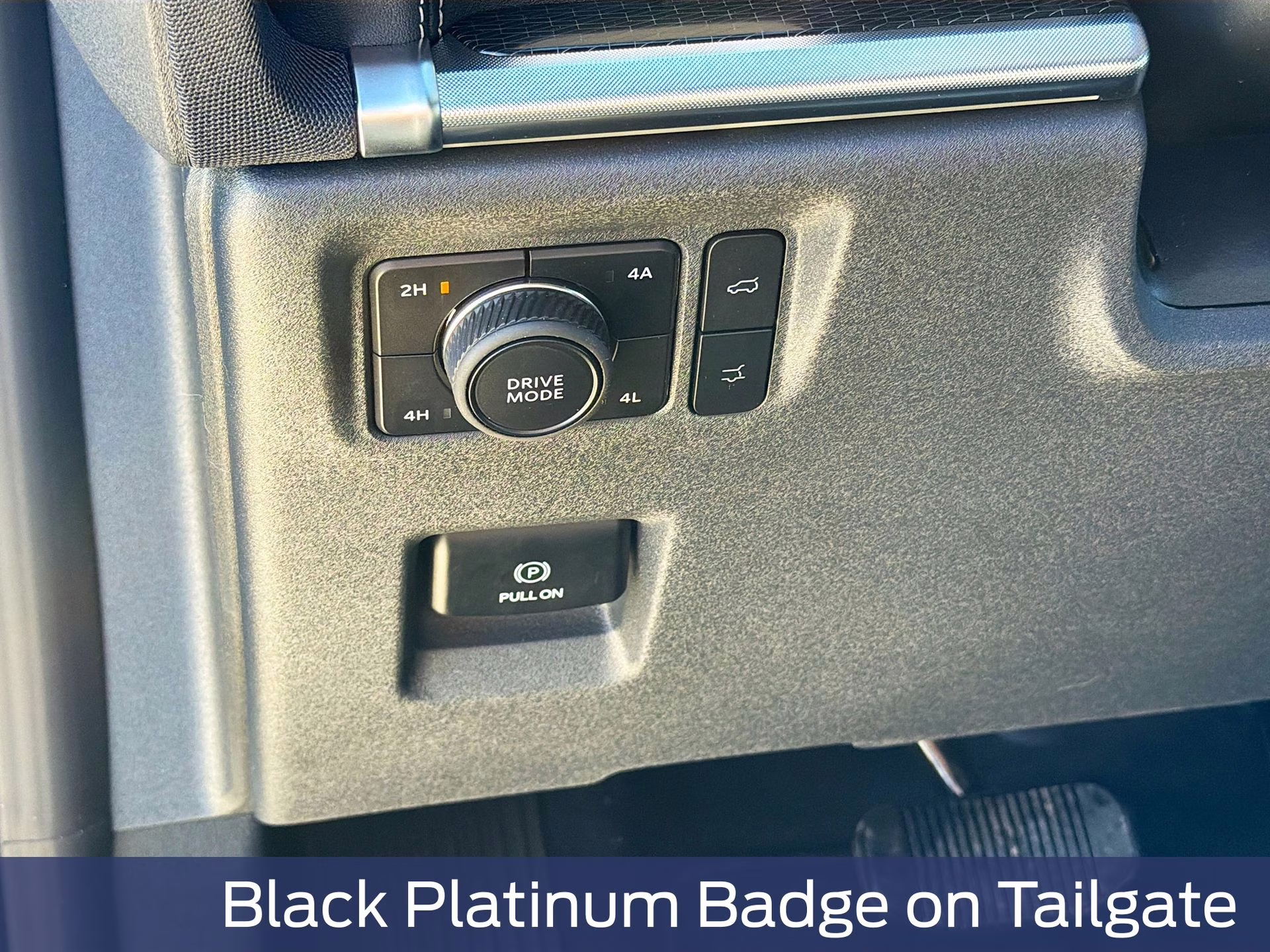 2026 Agate Black Metallic Ford Expedition Platinum 4X4 SUV