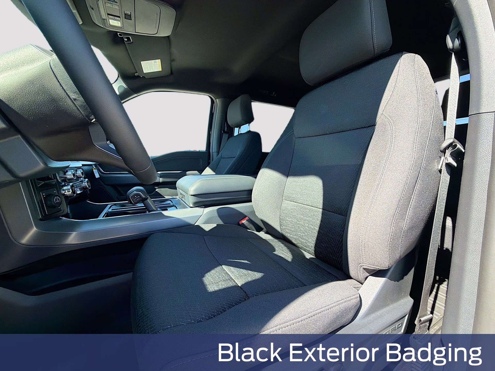 2025 Black Metallic Ford F-150 XLT 4X4 Truck