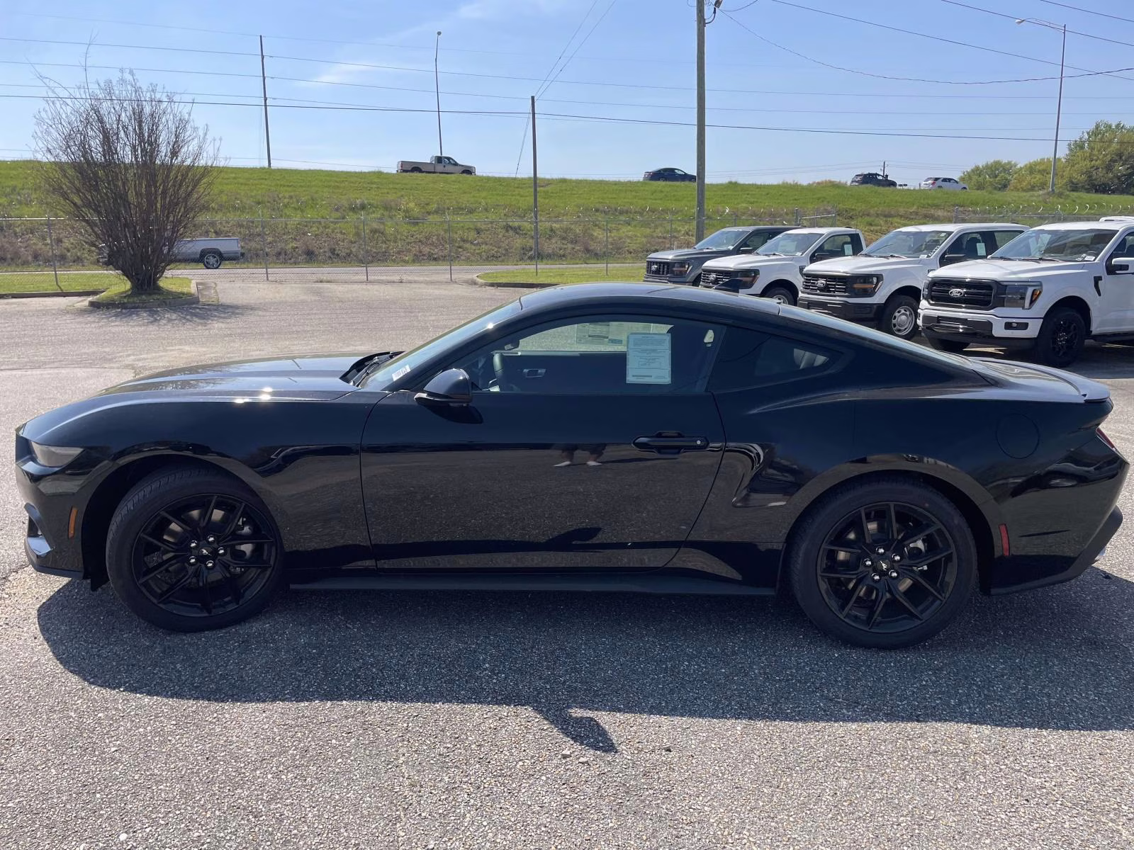 2026 Shadow Black Ford Mustang EcoBoost RWD Coupe