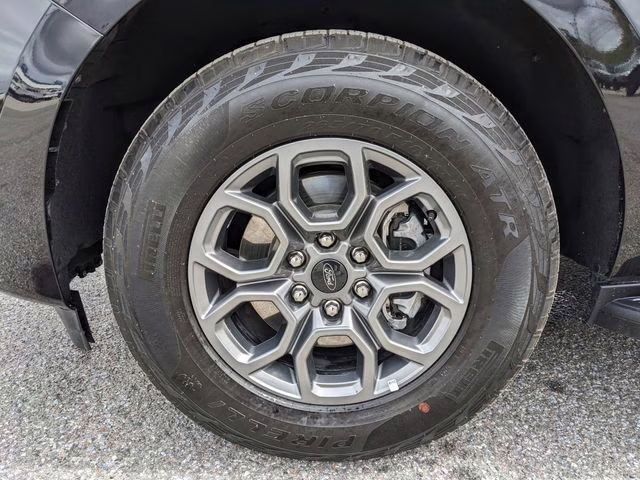 2025 Black Metallic Ford Expedition Active 4X4 SUV