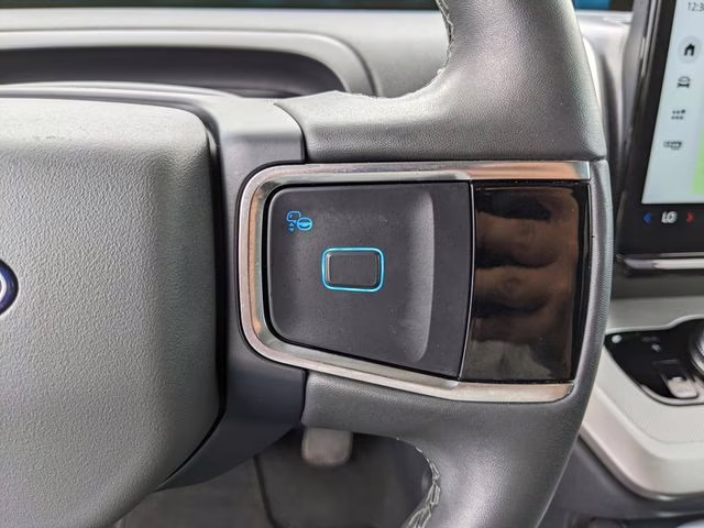 2025 Black Metallic Ford Expedition Active 4X4 SUV