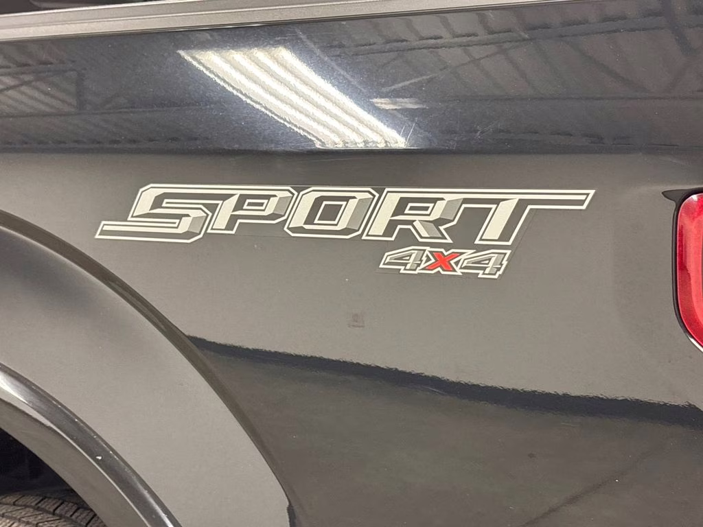 2016 Shadow Black Ford F-150 XLT 4X4 Truck