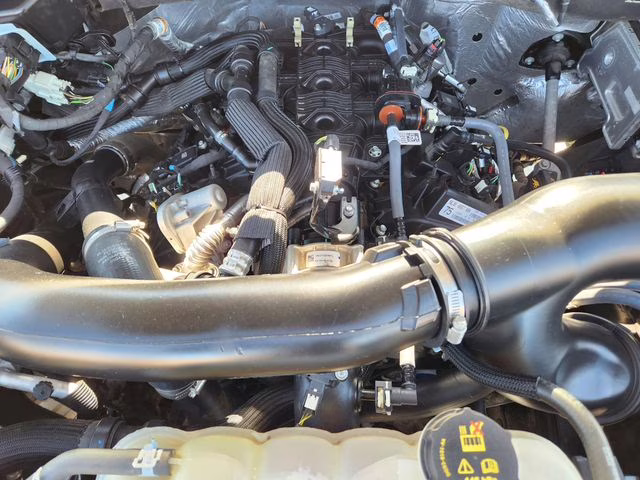 2024 Black Metallic Ford Expedition XLT 4X4 SUV