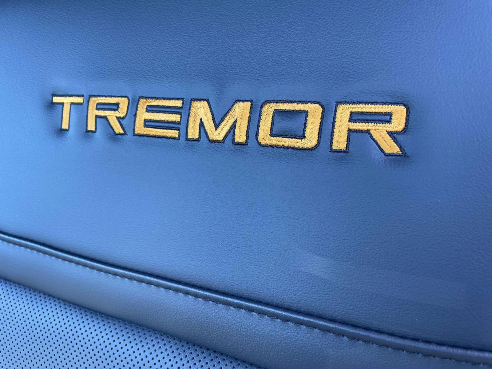 2026 Black Metallic Ford Expedition Tremor 4X4 SUV