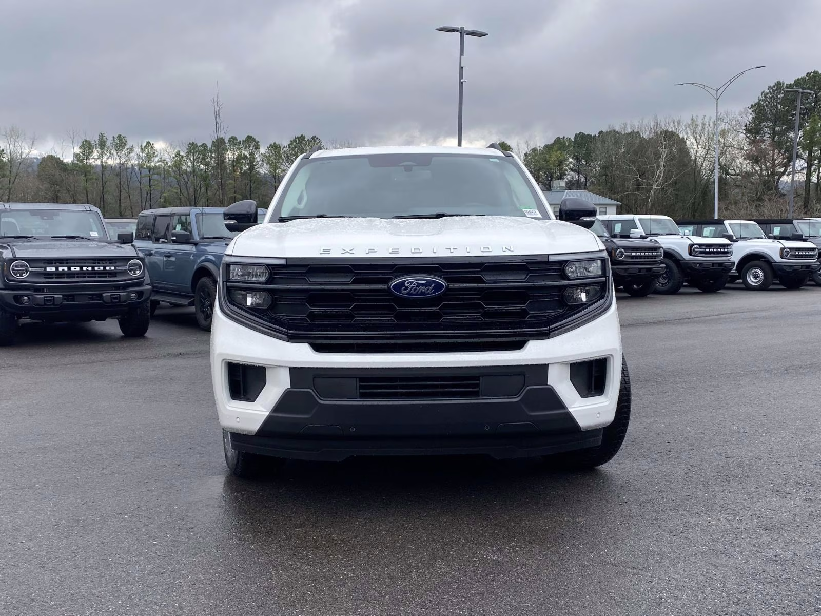 2025 Star White Metallic Tri-Coat Ford Expedition Active 4X4 SUV