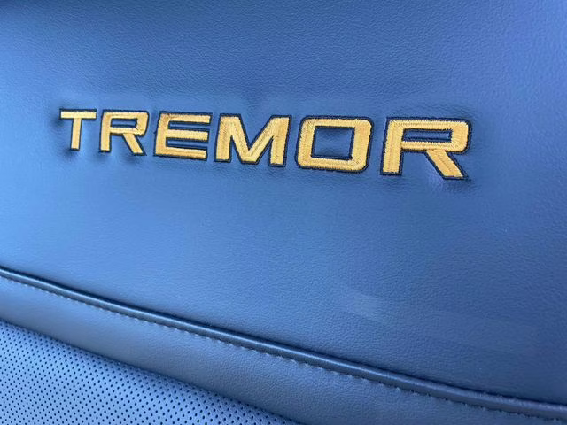 2026 Black Metallic Ford Expedition Tremor 4X4 SUV