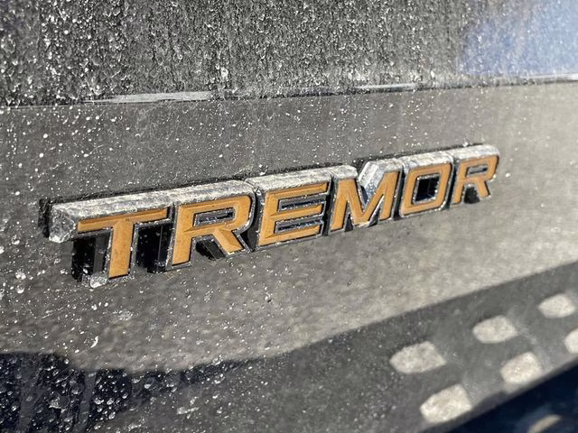 2026 Black Metallic Ford Expedition Tremor 4X4 SUV