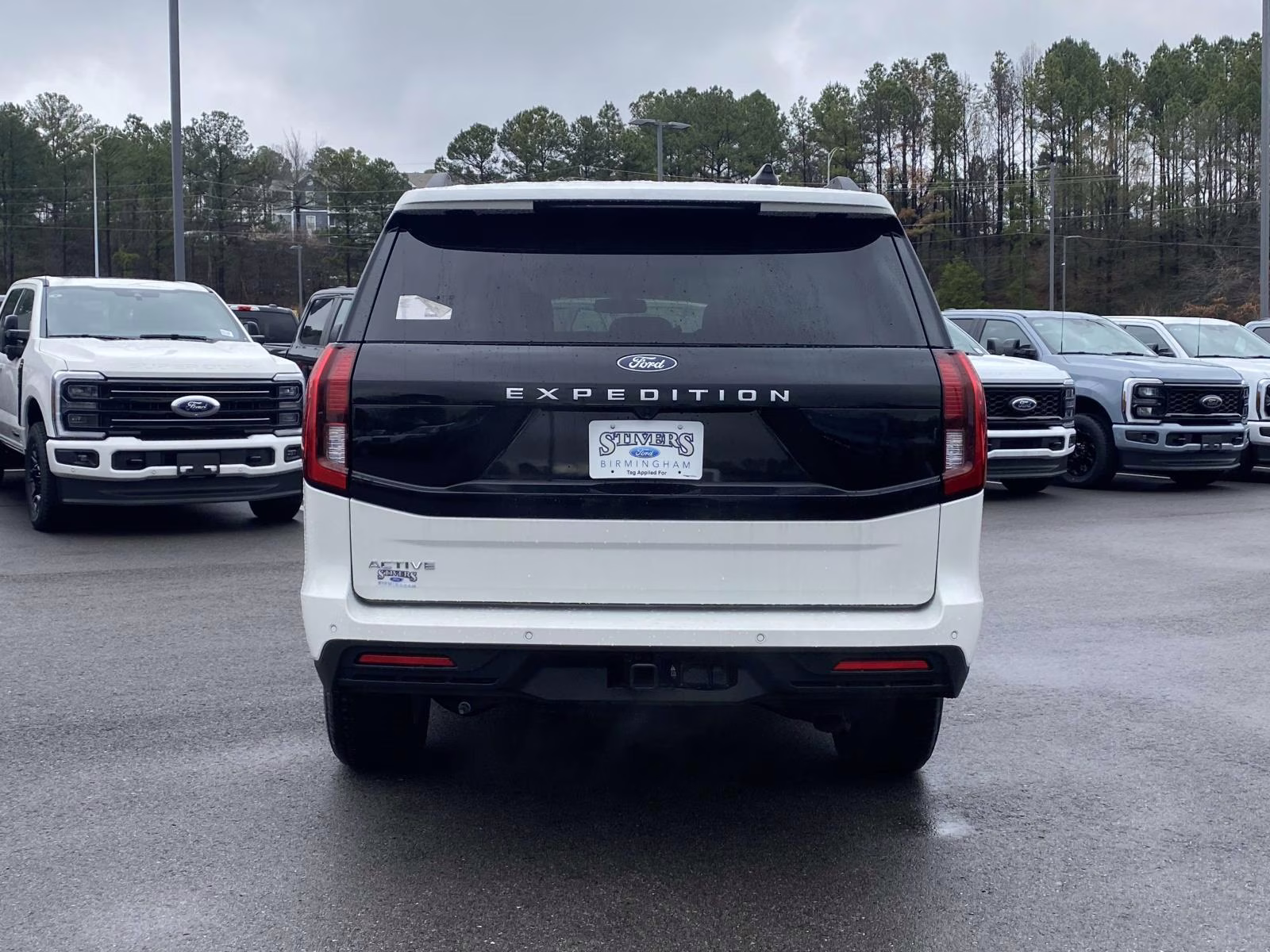 2025 Star White Metallic Tri-Coat Ford Expedition Active 4X4 SUV