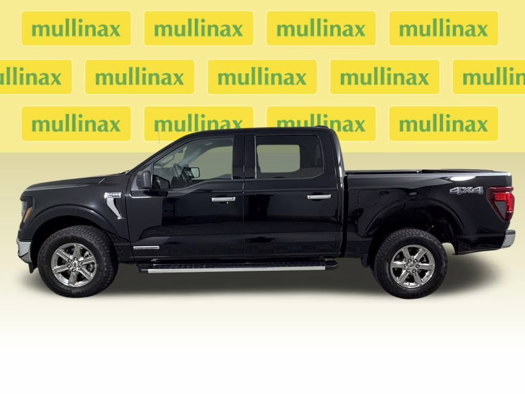 2025 Agate Black Metallic Ford F-150 XLT 4X4 Truck