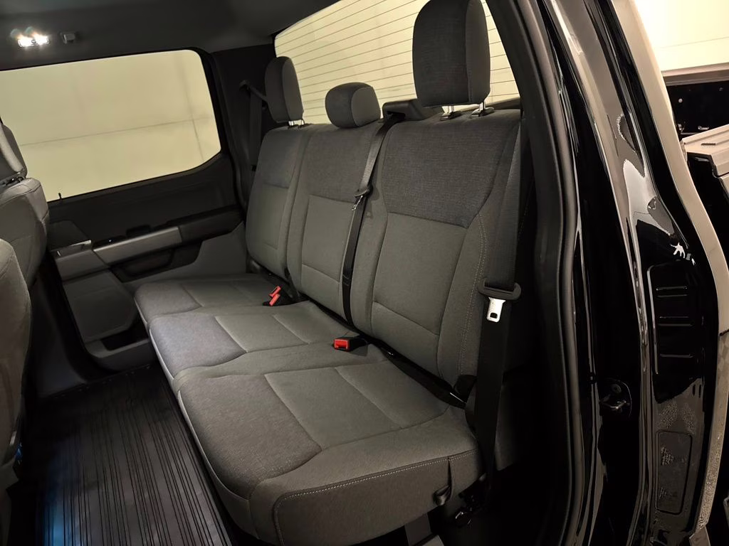 2025 Agate Black Metallic Ford F-150 XLT 4X4 Truck