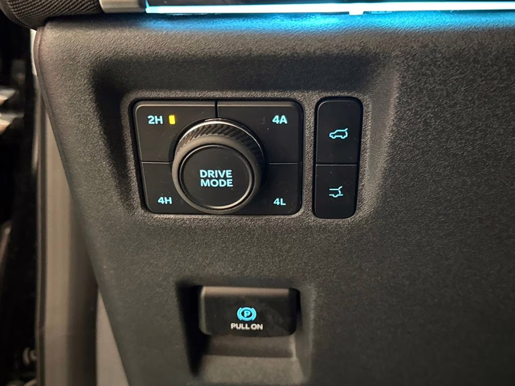 2025 Agate Black Metallic Ford Expedition Max Platinum 4X4 SUV