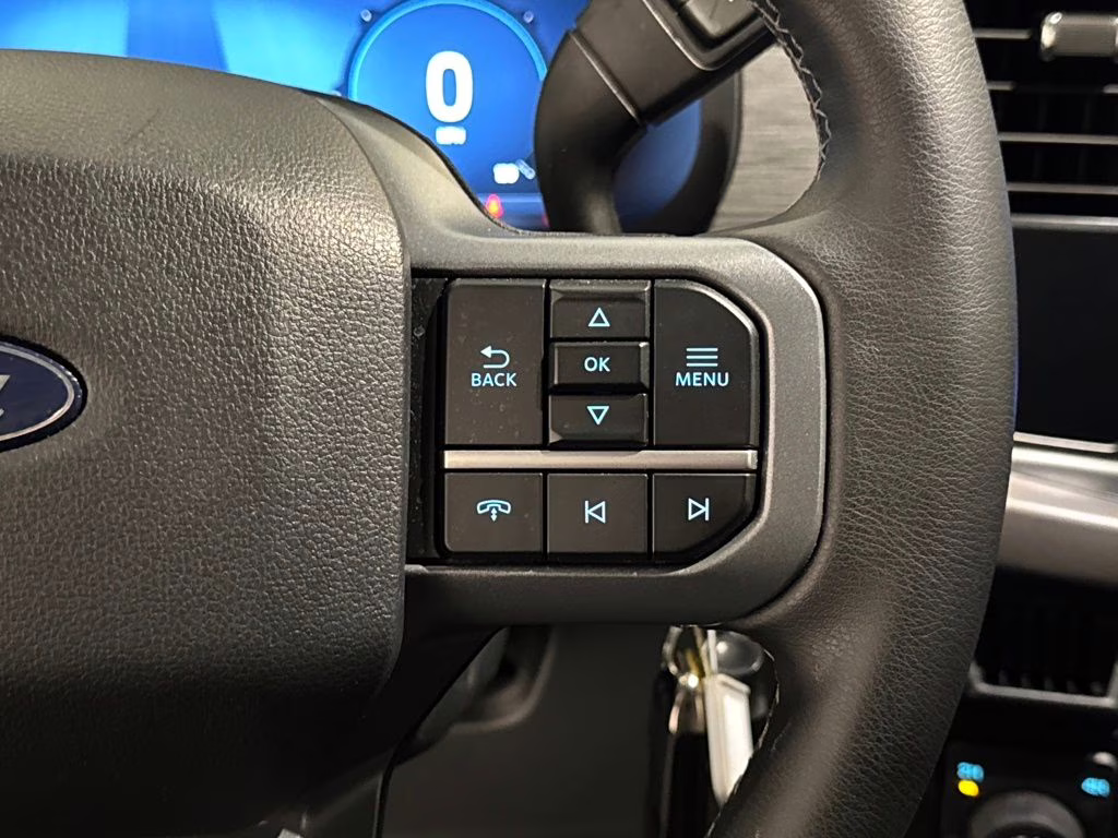 2025 Agate Black Metallic Ford F-150 XLT 4X4 Truck