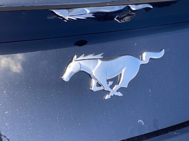 2026 Shadow Black Ford Mustang EcoBoost RWD Coupe