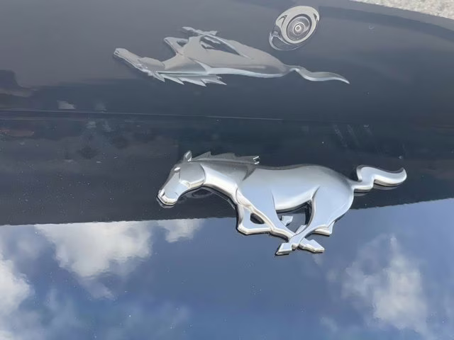 2026 Shadow Black Ford Mustang EcoBoost RWD Coupe