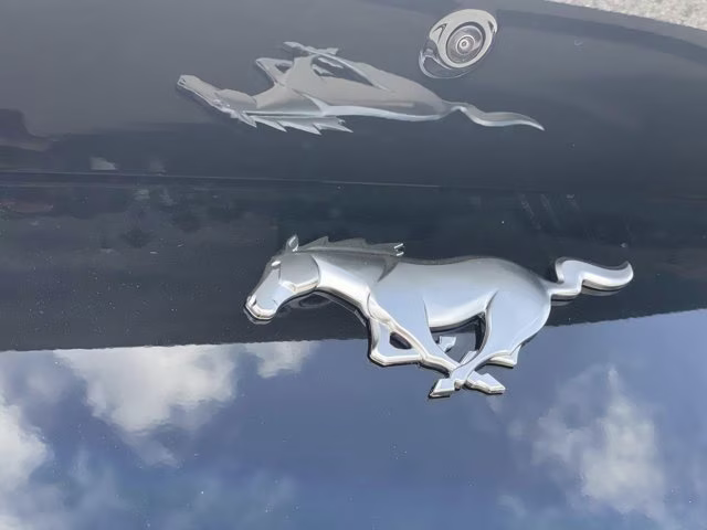 2026 Shadow Black Ford Mustang EcoBoost RWD Coupe