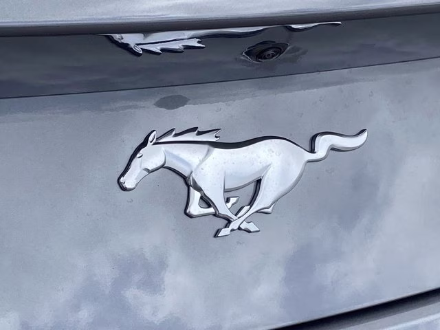 2026 Carbonized Gray Metallic Ford Mustang EcoBoost RWD Coupe