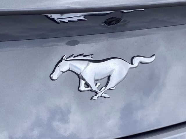 2026 Carbonized Gray Metallic Ford Mustang EcoBoost RWD Coupe