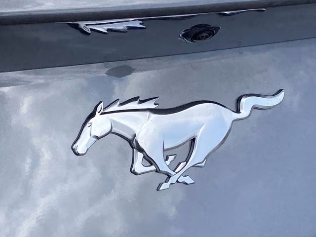 2026 Carbonized Gray Metallic Ford Mustang EcoBoost RWD Coupe